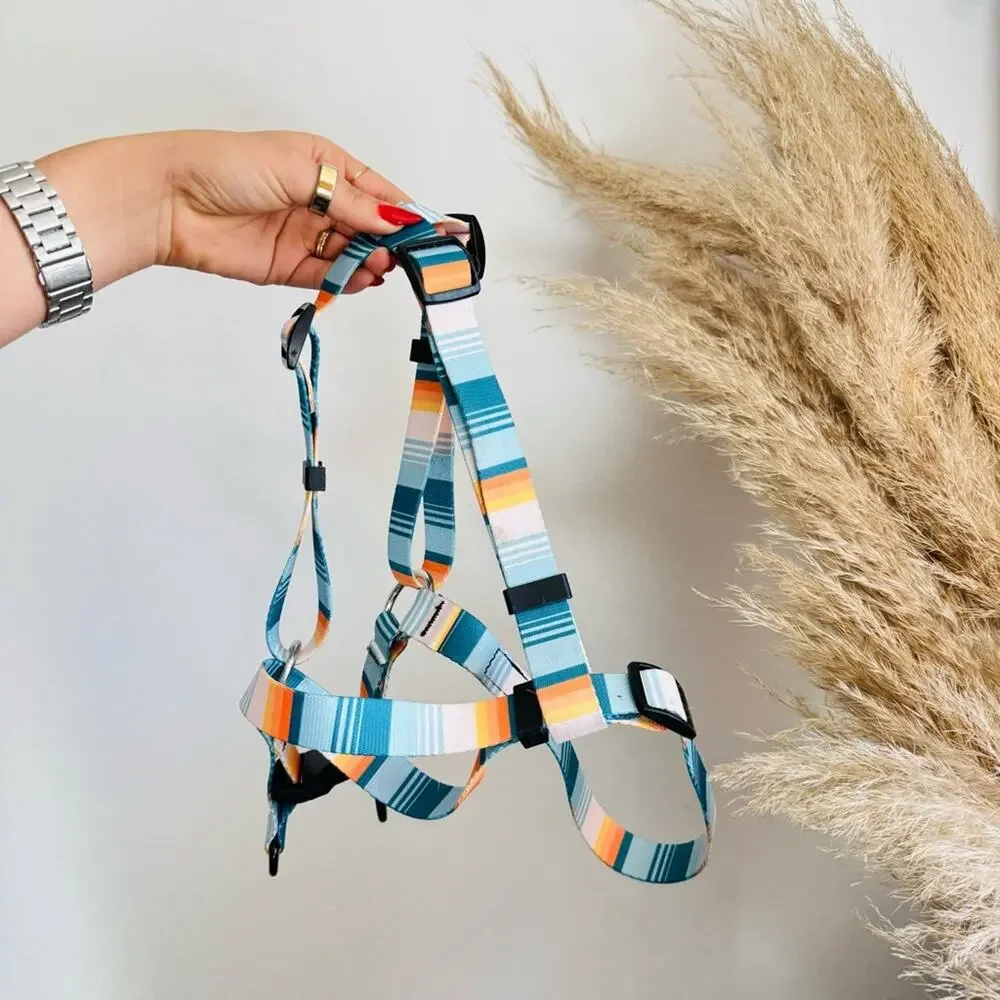LEEDS Doheny White Blue Stripe Dog Leash Buckle Collar Step Harness $135 Set